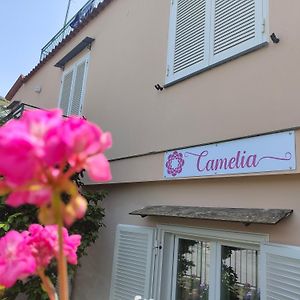 Camelia Vico Equense